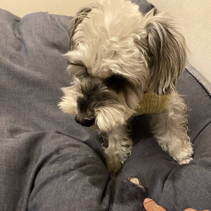 27ca50b9 163d 46a2 8a1c 78af011ec38a 1765117018585