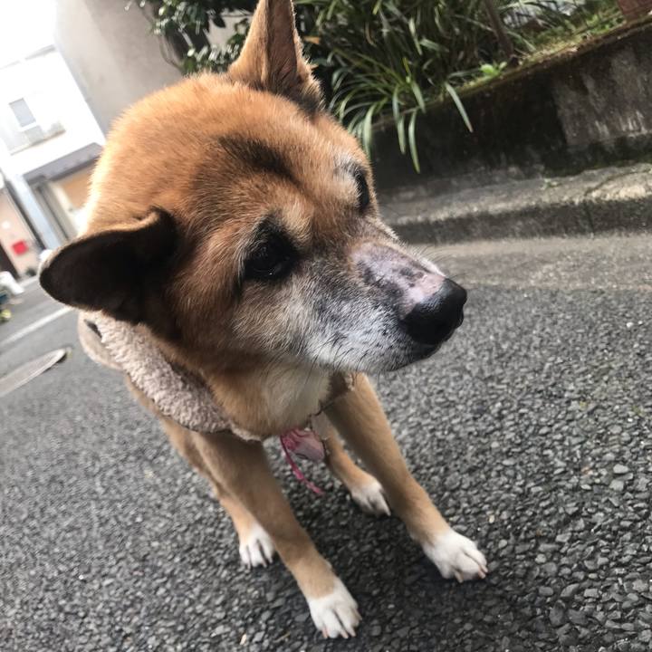 27ca5b47 b39c 45ba 8d4c 02df0eecdc73 1550272928807