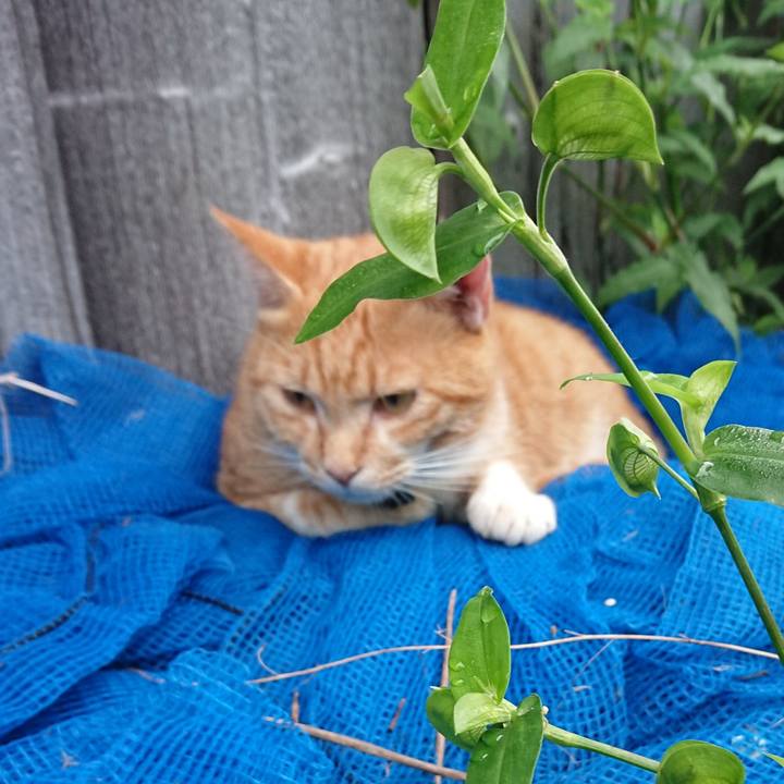 27cab659 4e3e 448e 839e 1a6445d6171a 1567286566207