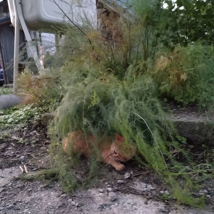 27cab9bd be87 4b39 baa2 391292426a00 1664745081525