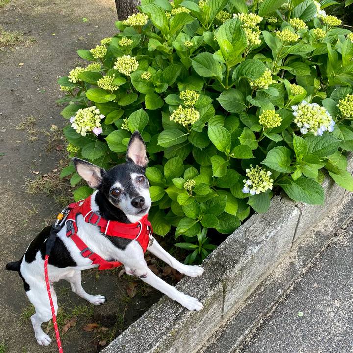 27caedfb 5b78 4fe0 bf7c 57d5e39d88a4 1620425485926