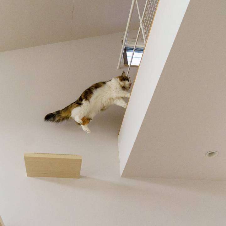 27cb12b7 7bdf 4577 abbe 1d6350ee6e1c 1646899874059