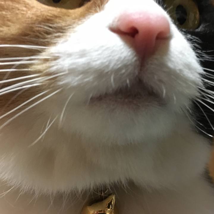 27cb13ac 281f 4533 83b8 597f782f882d 1517922076450