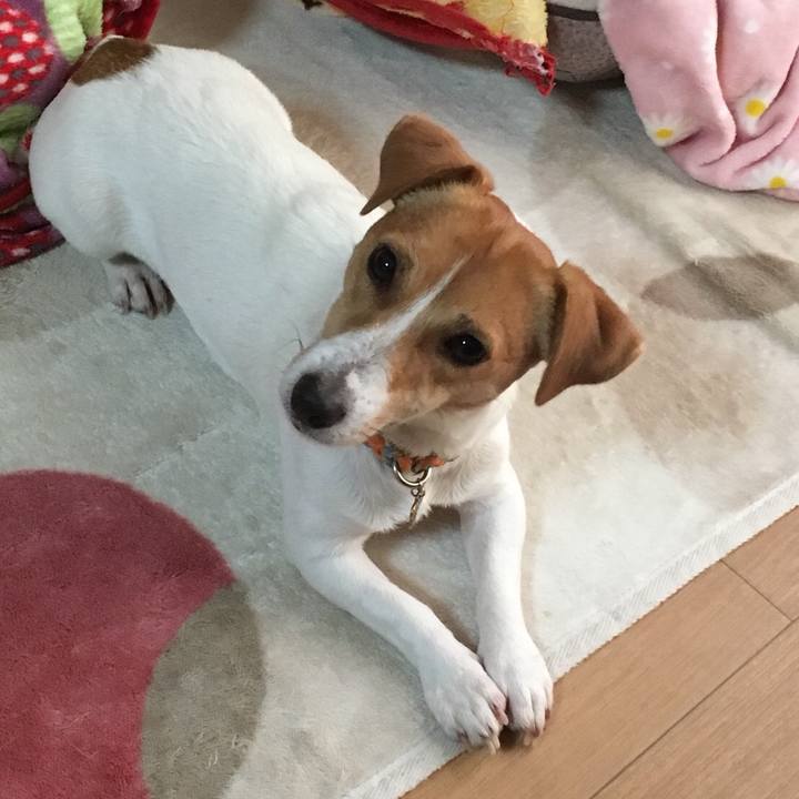 27cb2347 8edc 4c55 baff 83bd6b14e855 1509593736696