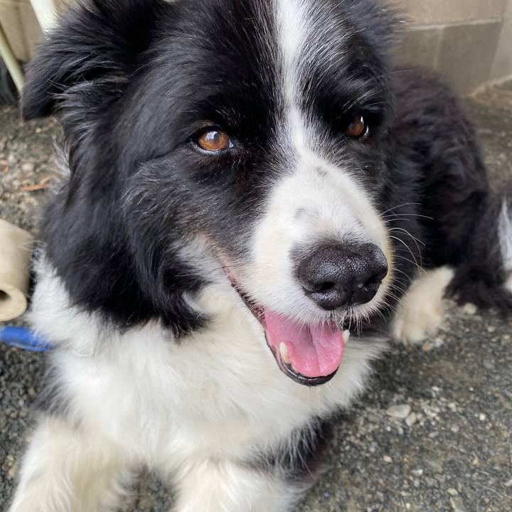 27cb269b e257 41fa b7cc b681fba62682 1660523638194