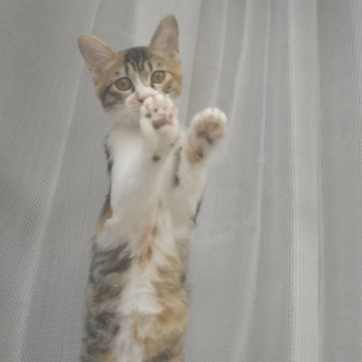 27cb2ede fe5b 483e 9b1c bb1cc6bdf672 1630017019325