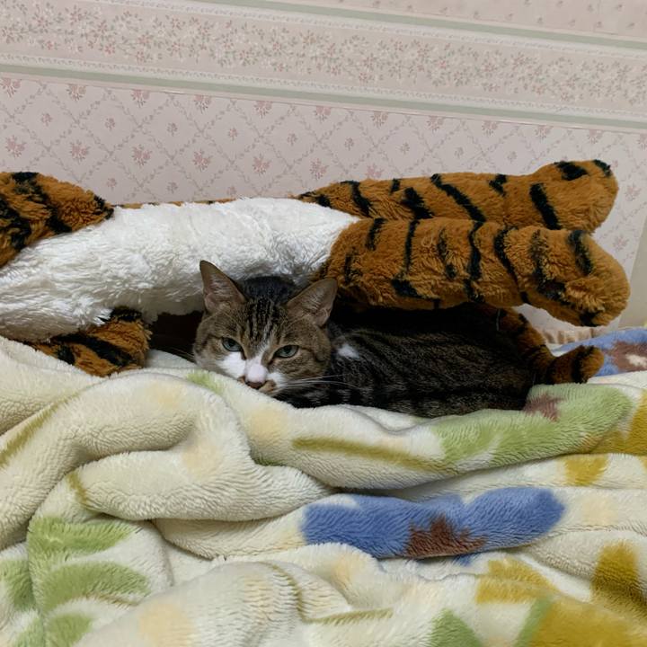 27cb36ae 32cd 41b0 9229 9b1912e3673f 1605977010638