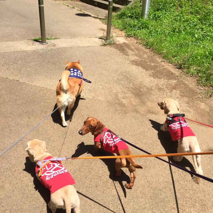 27cb5242 60ee 4ceb 897d 3cef663eadda 1592515924394