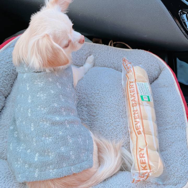 27cb8f76 4413 4418 a18e b2af746ac02a 1672298253398