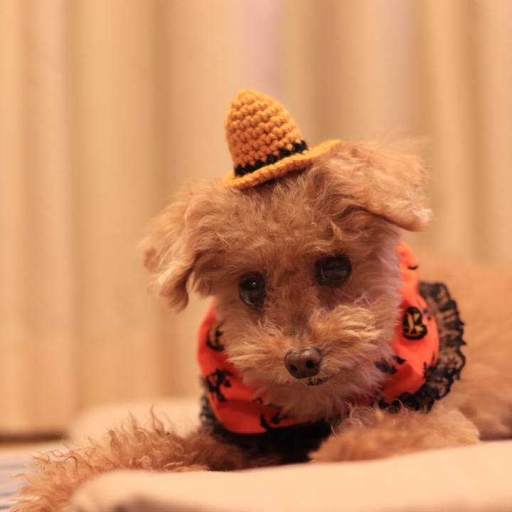 27cc22db 3a78 4573 a751 9f7e5185a30e 1635687719266