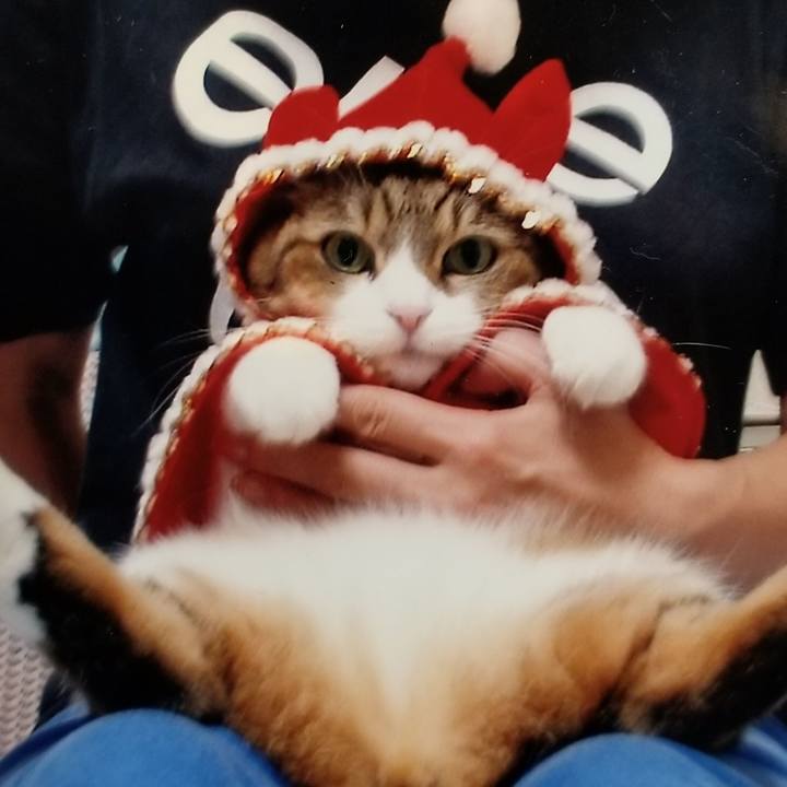 27cc4ba6 d4ed 4609 90f8 e3846b7d8b75 1544360513377