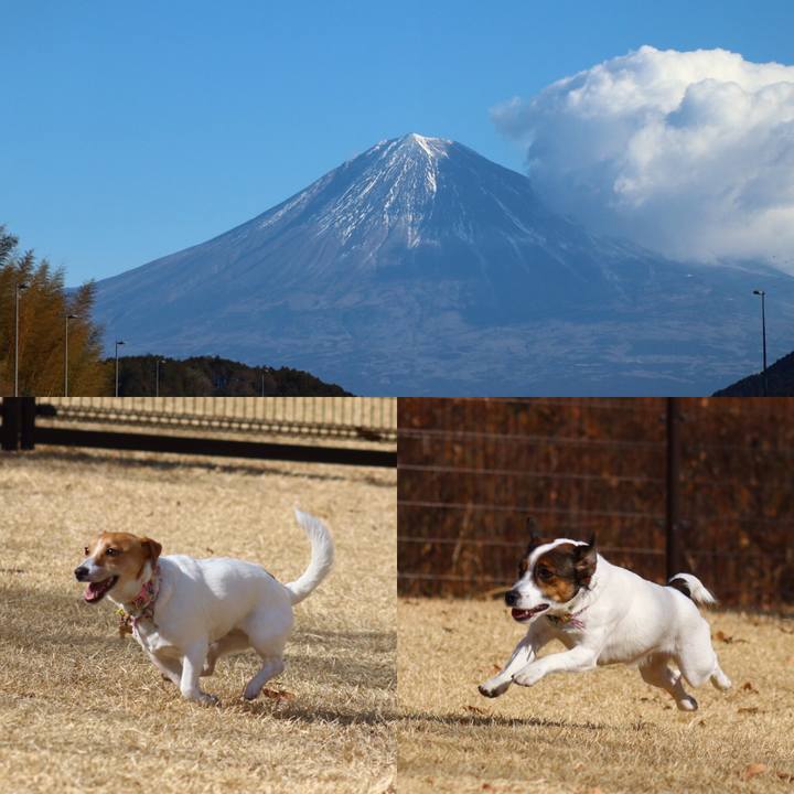 27cc9a71 e8e4 4648 97cb 6c2cefbd0325 1548485764994