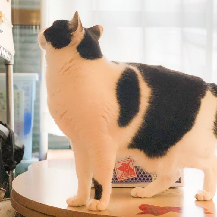 27cca9cb 8daa 49d6 b265 b139bc9e272a 1580606935405