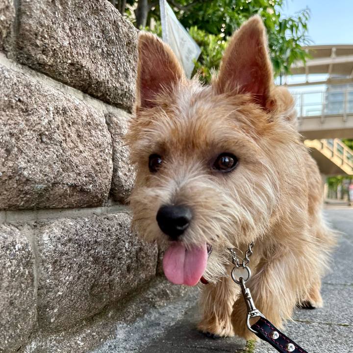 27ccb0e3 295e 4e4d 8d56 e5e97f5fc6b1 1720652799171