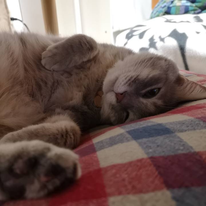 27ccb64d f734 464f abb6 46ce95b05ab0 1590588035796