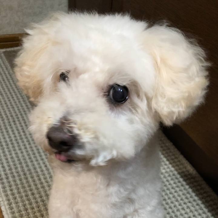 27ccd8d2 a021 4f99 b108 64c0f17ff38c 1540179968065