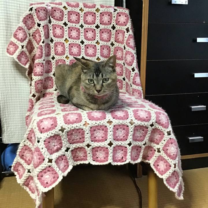 27cce938 5fcc 46ba b335 a2647b645c5f 1592036394828