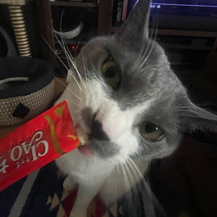 27ccea24 4ef5 4213 8179 ba6394dc7e79 1677139352376