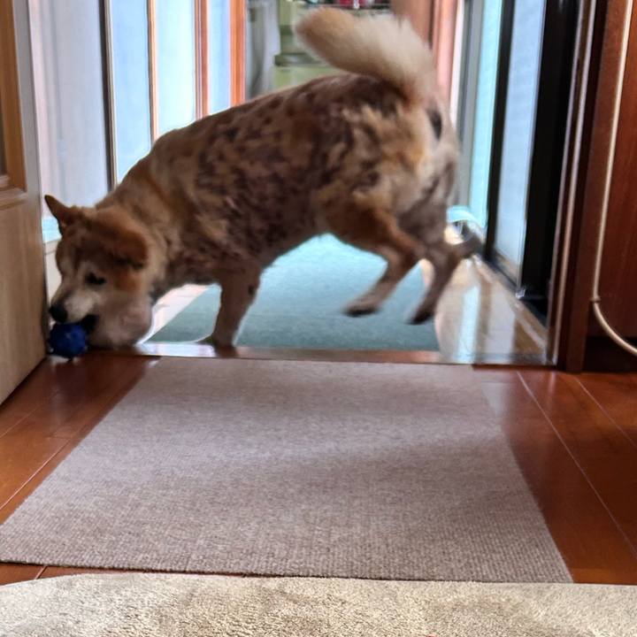 27ccf0d6 c72c 4632 a773 e96333efc319 1762053884882