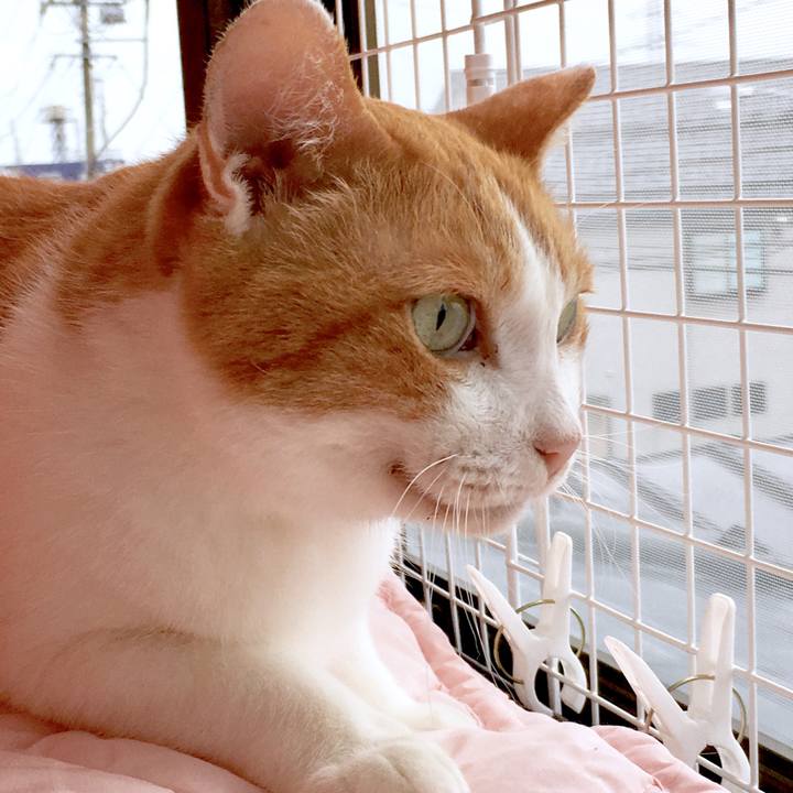 27cd1460 a73b 42f8 8ed2 34d91da8b72b 1568088659222