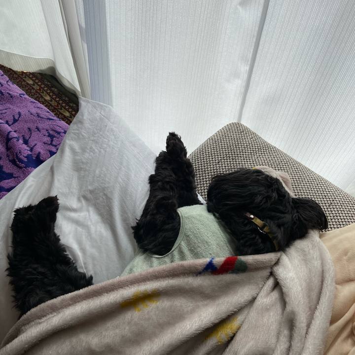 27cd2fc3 dfe8 48b9 a2b2 edda6df11822 1583929441367