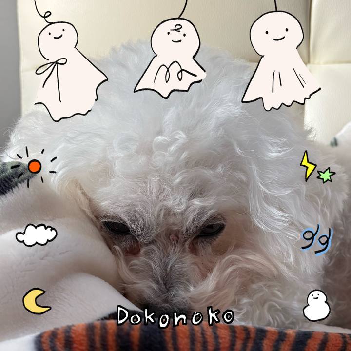 27cd8e03 67f4 4aaa 9ac5 14204d609b62 1749092075732