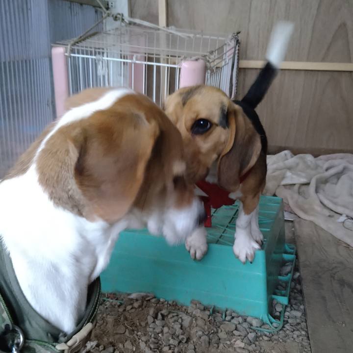 27cd9abf aeda 474b 84a1 32481557f180 1673779097842