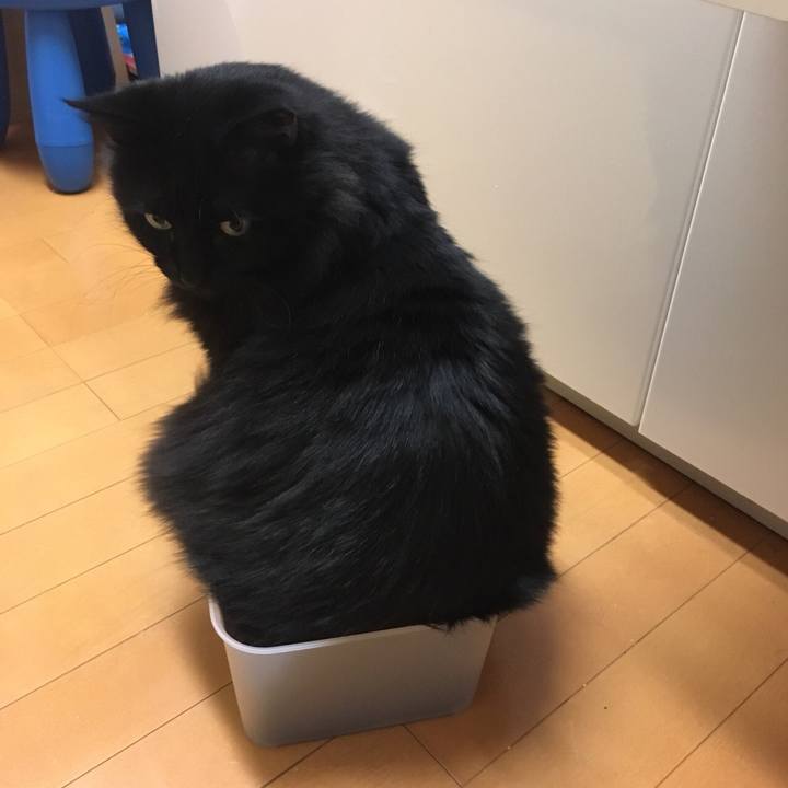 27cdbdbc 6b6b 40b8 8e5d c1d66d30cc14 1574424422579