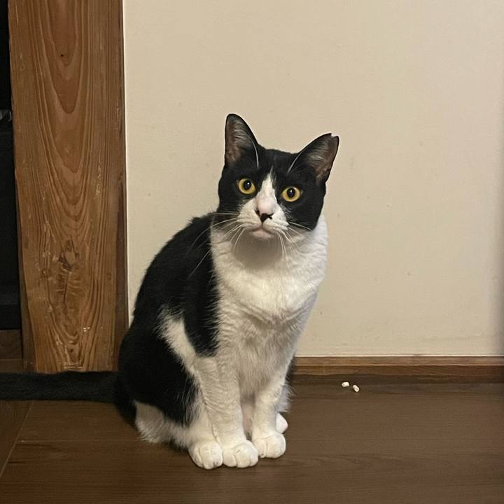 27cddd18 12d9 47a7 a54b bdb9cd2a917e 1725626633645