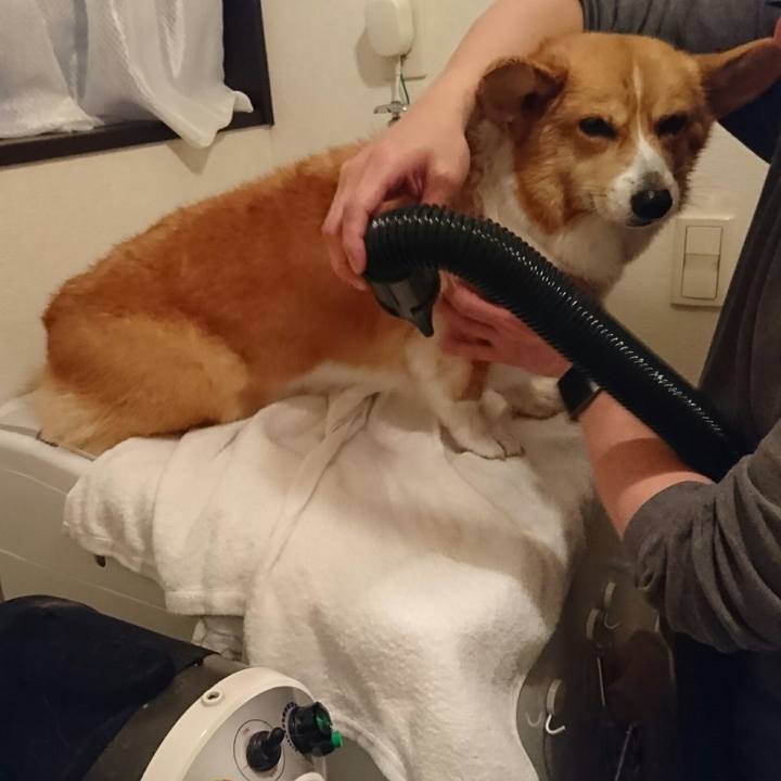 27ce0338 c460 4818 a80b 4ee4930e6c7c 1541059638679