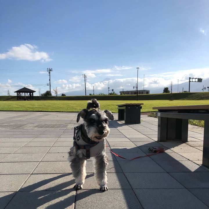 27ce41c4 75ae 43a1 9b47 975814b123c9 1632105367728