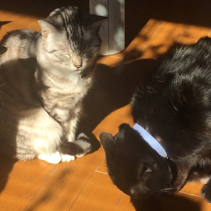 27ce4c1d 54f4 45c7 8a9a 2a701f5dbb72 1548125512120