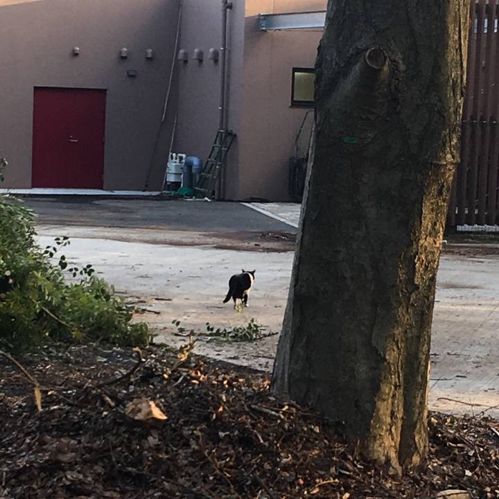 27ce4f46 7a11 47c6 bfaf a14ec62b6c9e 1521087927730