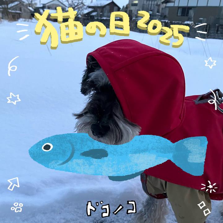 27ce5eb2 e77e 4021 9c78 c9c4607485a9 1740230765281