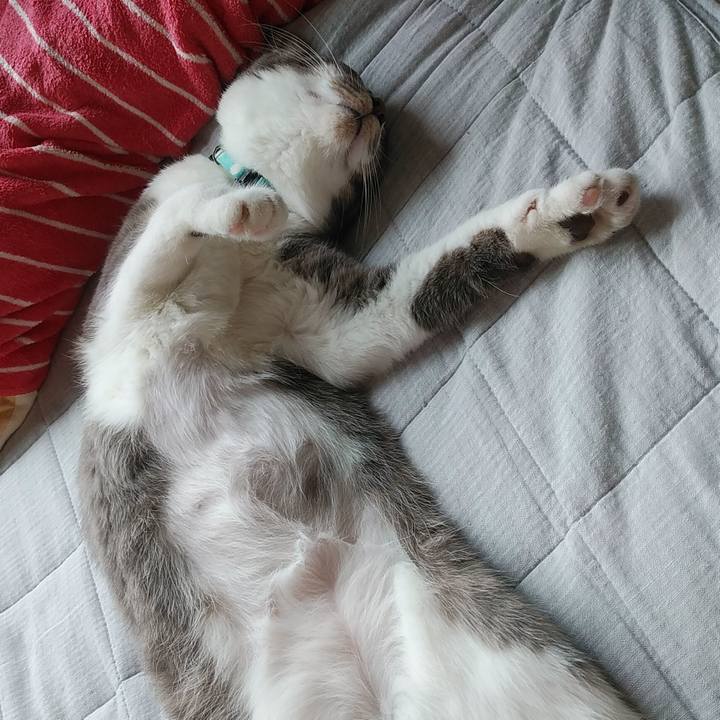 27ce70e1 0082 42c2 b9eb 5e9c83caeca8 1589855719081