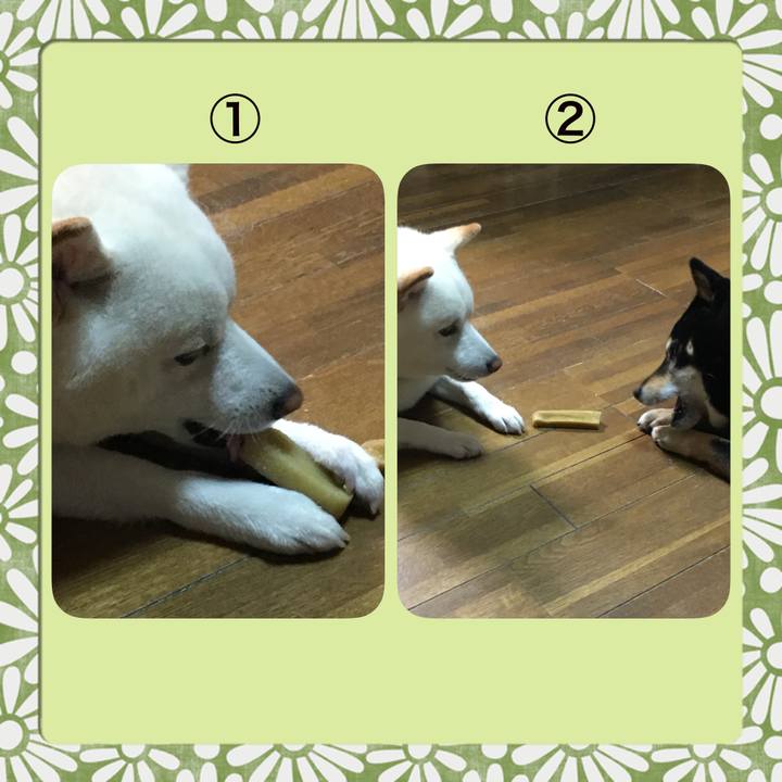 27ceb78b e593 43be 83b1 543178569fbb 1528720325943