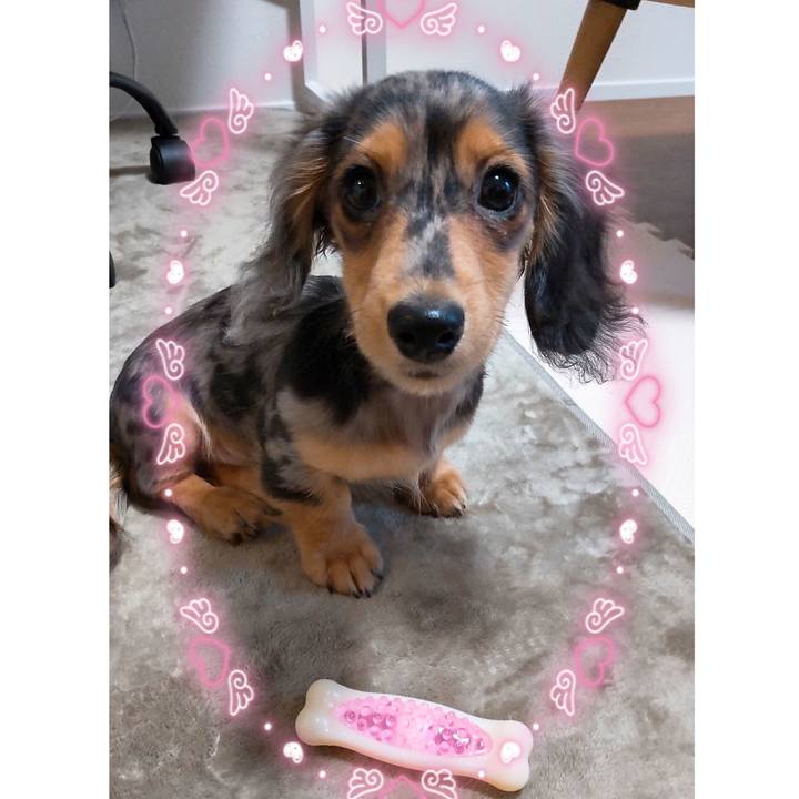 27cebc5b 3408 407f aecc 5dd1a75401eb 1698017253076