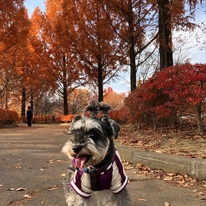 27cec3eb b959 494b a1aa 6f76df3b19ed 1637559367159