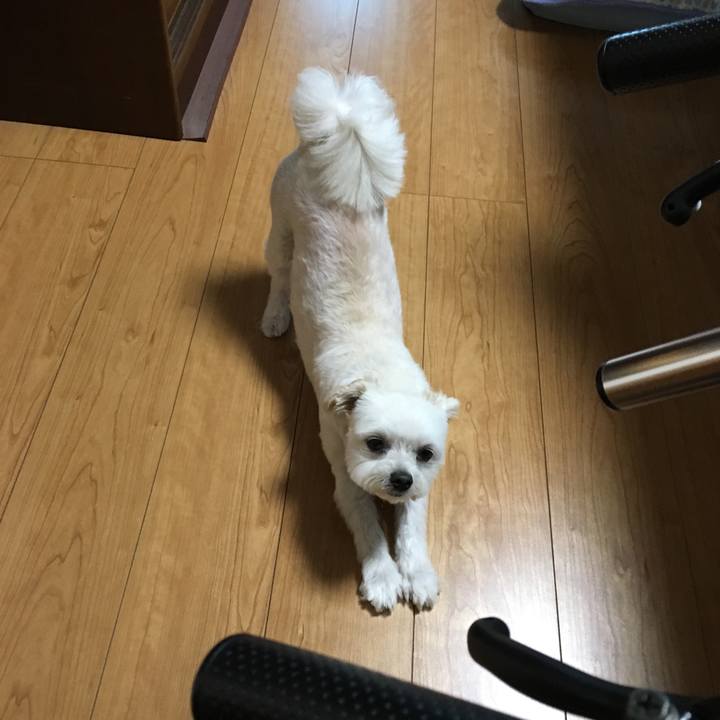 27cec73f 22fb 4260 b62f eeb230cbabd5 1563955073705