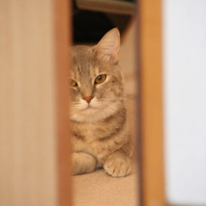 27cef0f8 0c81 40d1 a46f b2c2ac420def 1510706931223