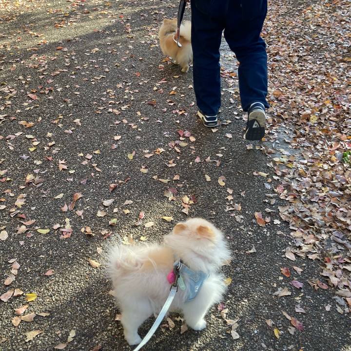 27cf4694 50bc 4cec a490 eb836d62c4f2 1764589535122