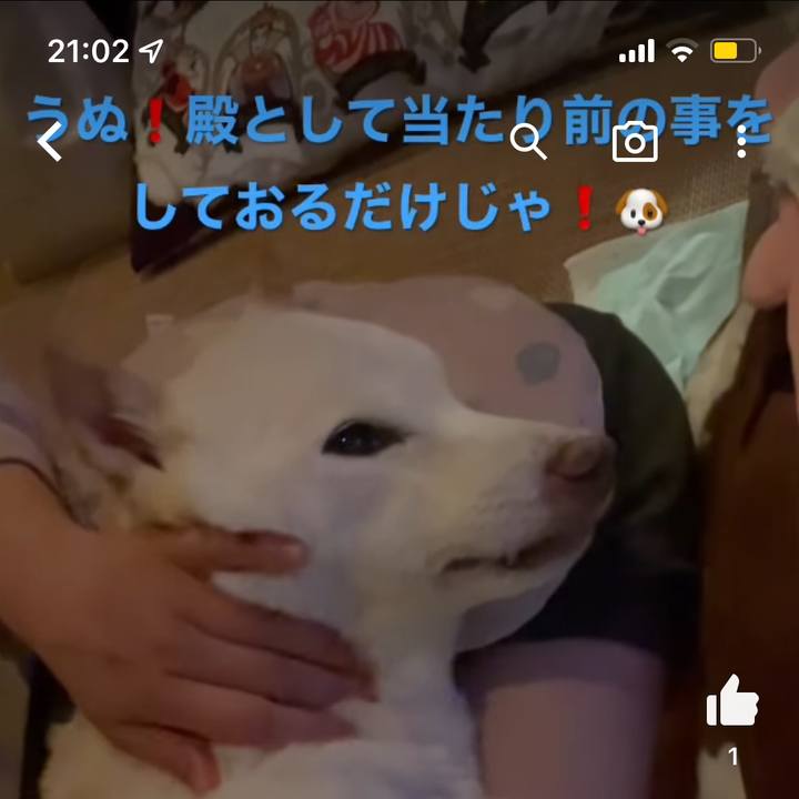 27cf521e 6e53 4304 b7f0 dee2b1bbe1fa 1675685017674