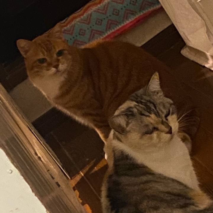 27cf5e3b a957 4fb8 b86a a598bf8e4890 1669215024343