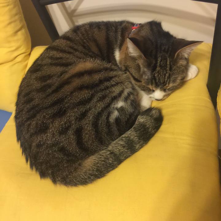 27cf6c66 34ad 4703 8534 f713c7981596 1556019753593