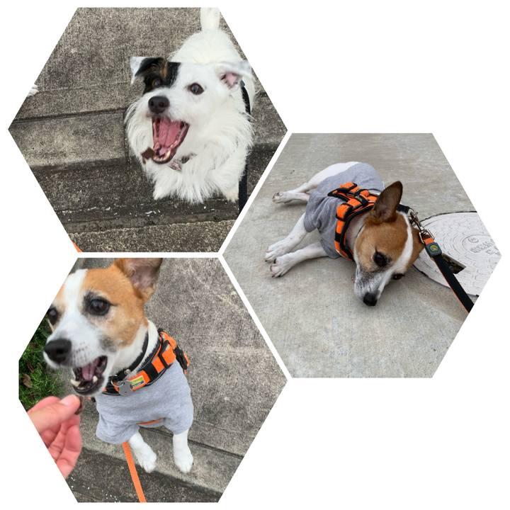 27cf8a01 5820 4ce1 ab03 4b384df86b5a 1595238117264