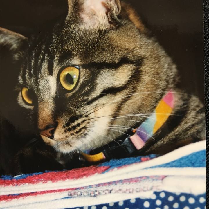 27cf8e8d 863d 4cae 8328 edf986132125 1524387705693