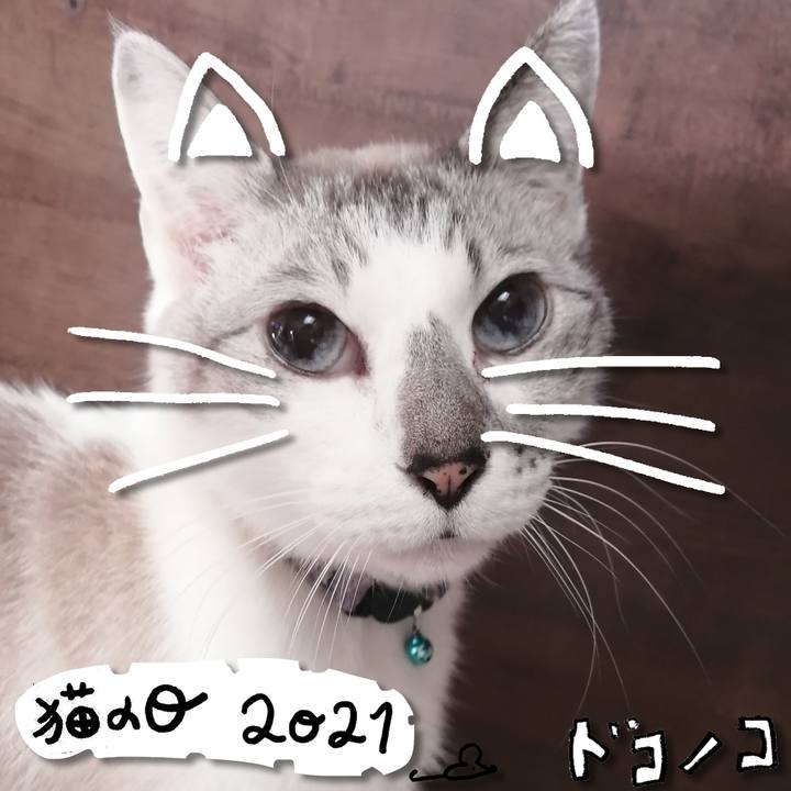 27cfc45a 9cca 4ac8 8903 7de16a4244c2 1613969847684