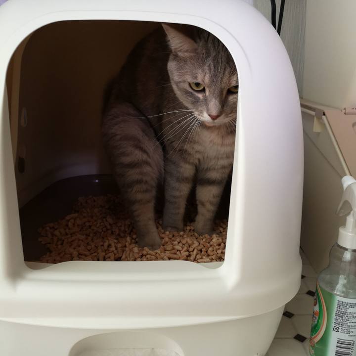 27cfc801 a38f 4162 9b87 9daf2461ad92 1566376512682