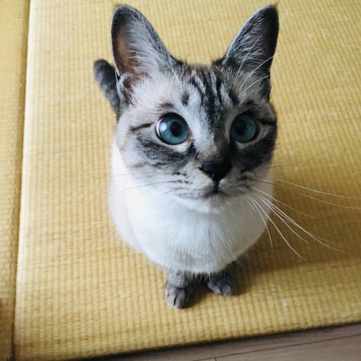 27cfcd7d 7340 42f4 b454 3e3063c18d19 1590472693227