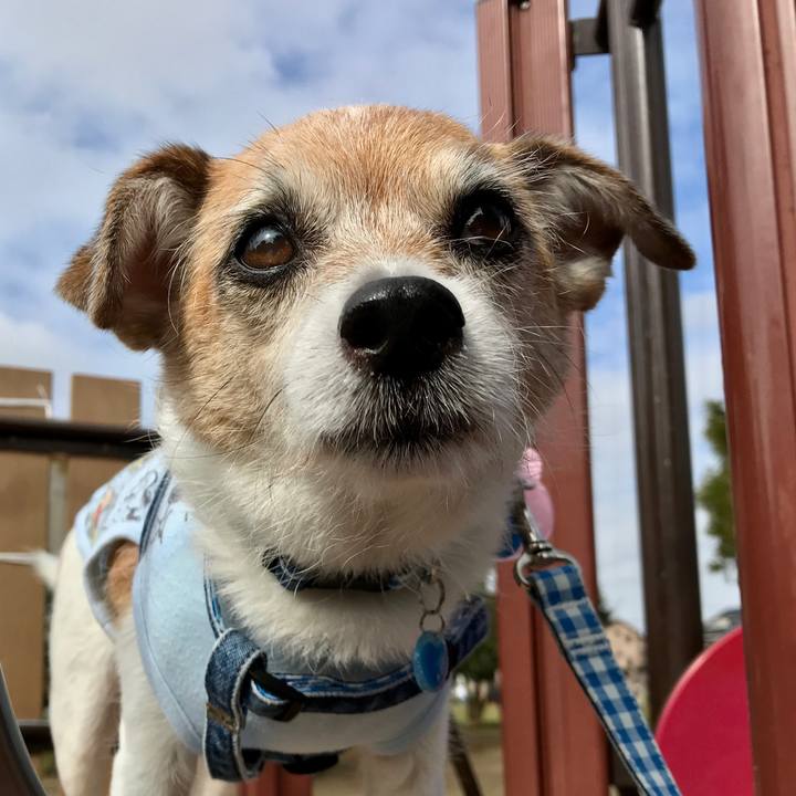 27d0213f c15c 4542 a8d4 9b2fb476a0a3 1634174715878